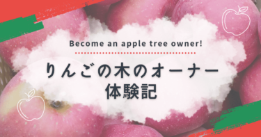 りんごの木のオーナー体験記！料金と契約内容、収穫個数など実体験を紹介します🍎