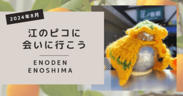 2024年8月｜江のピコ衣装紹介、江ノ島駅前の新踏切
